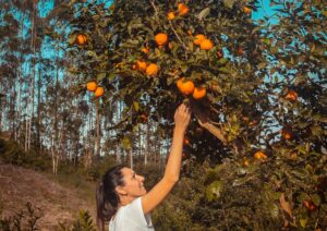 The Pitfall of Chasing "Low-Hanging Fruit" in Business