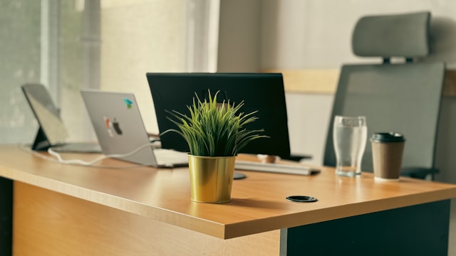 CEO office